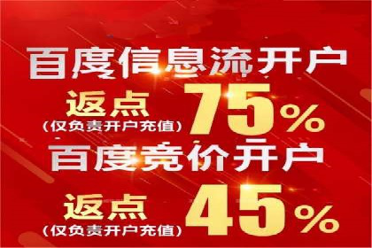 行业领先企业的sem账户竞价运营策略